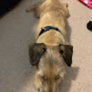 Meet your Posher, Allison